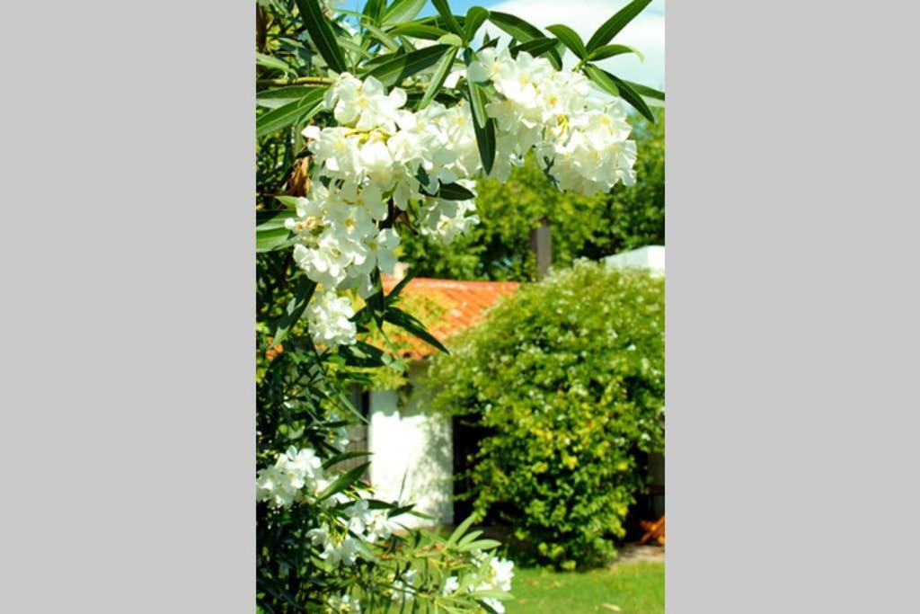 メンドーサ Big Beautiful House With Garden In 5Ta Seccion Neighbourhoodヴィラ エクステリア 写真